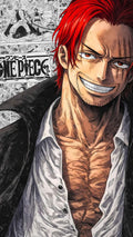 One piece 13