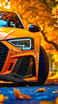 Cars 14