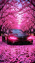 Cars 18