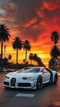 Cars 13
