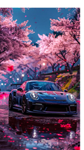 Cars 31